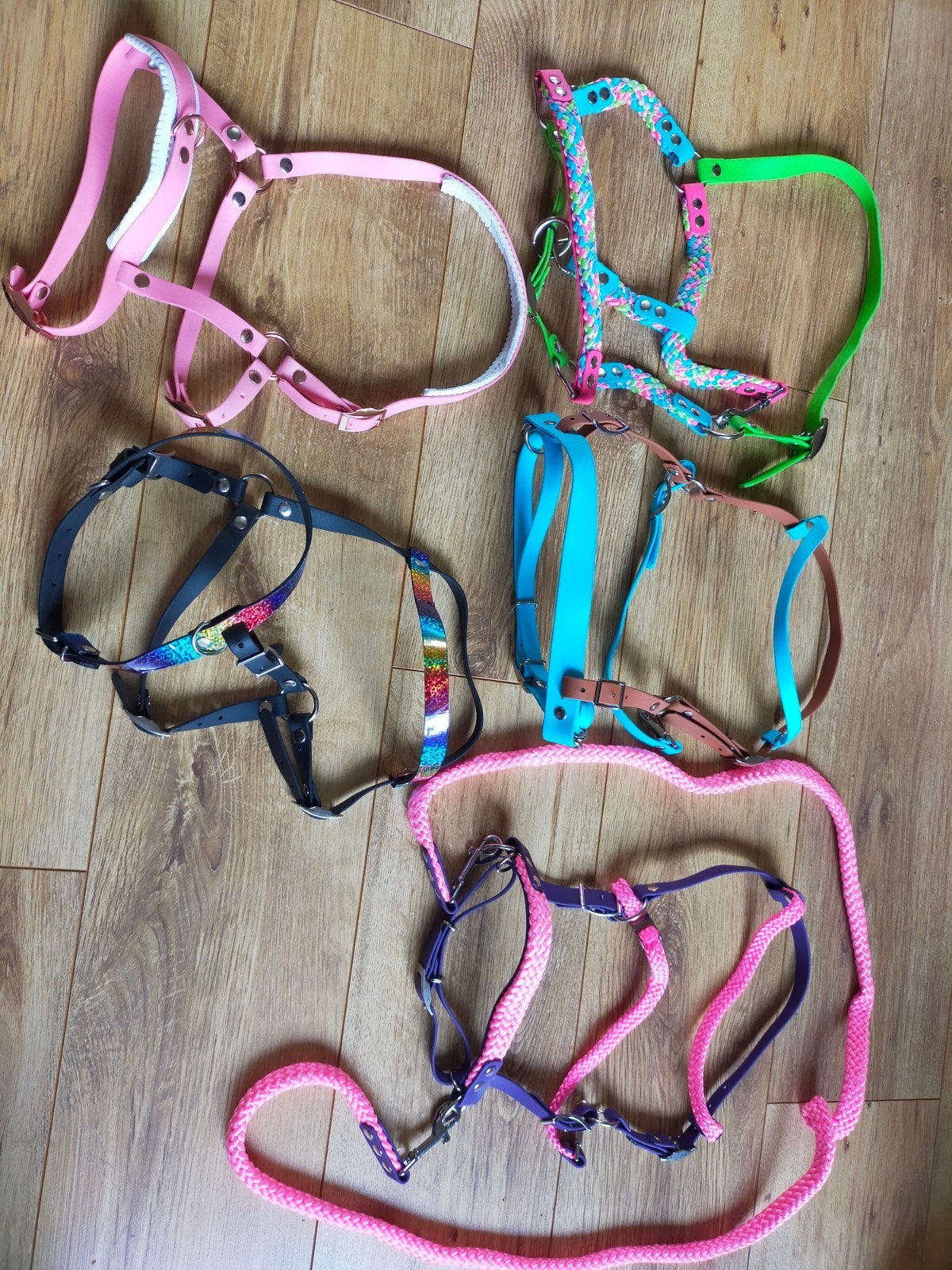 verschillende minishet, shet en pony halsters & hoofdstellen, Ophalen of Verzenden, Verstelbaar