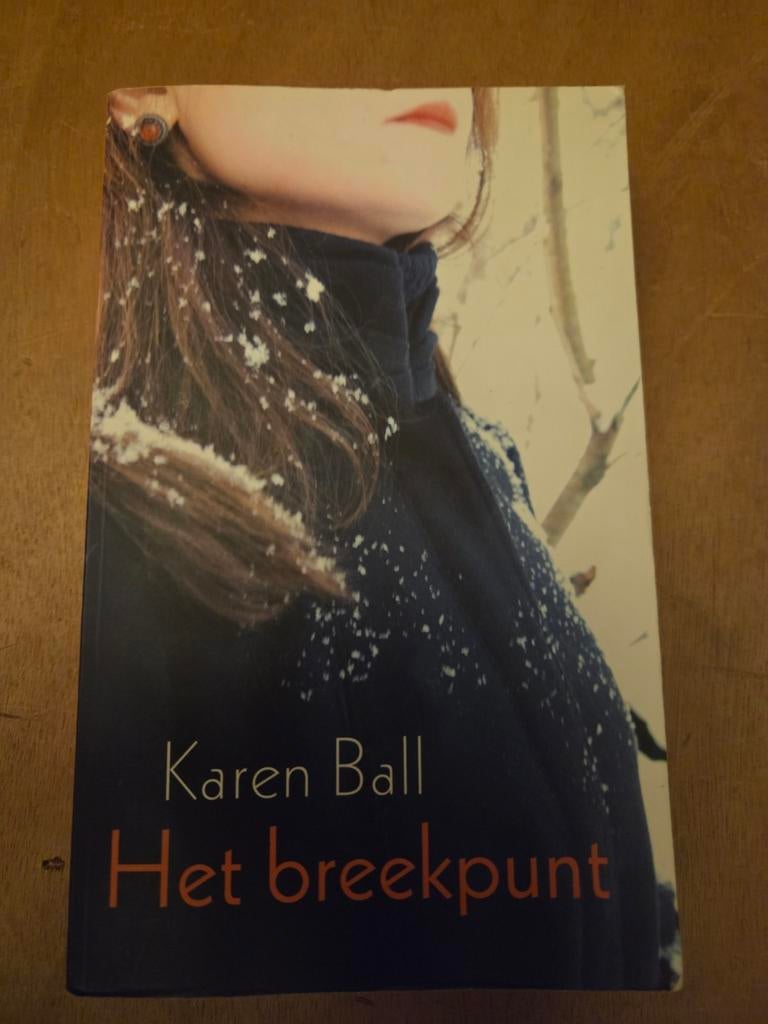 Het breekpunt - Karen Ball (thriller), Boeken, Romans, Gelezen, Ophalen of Verzenden