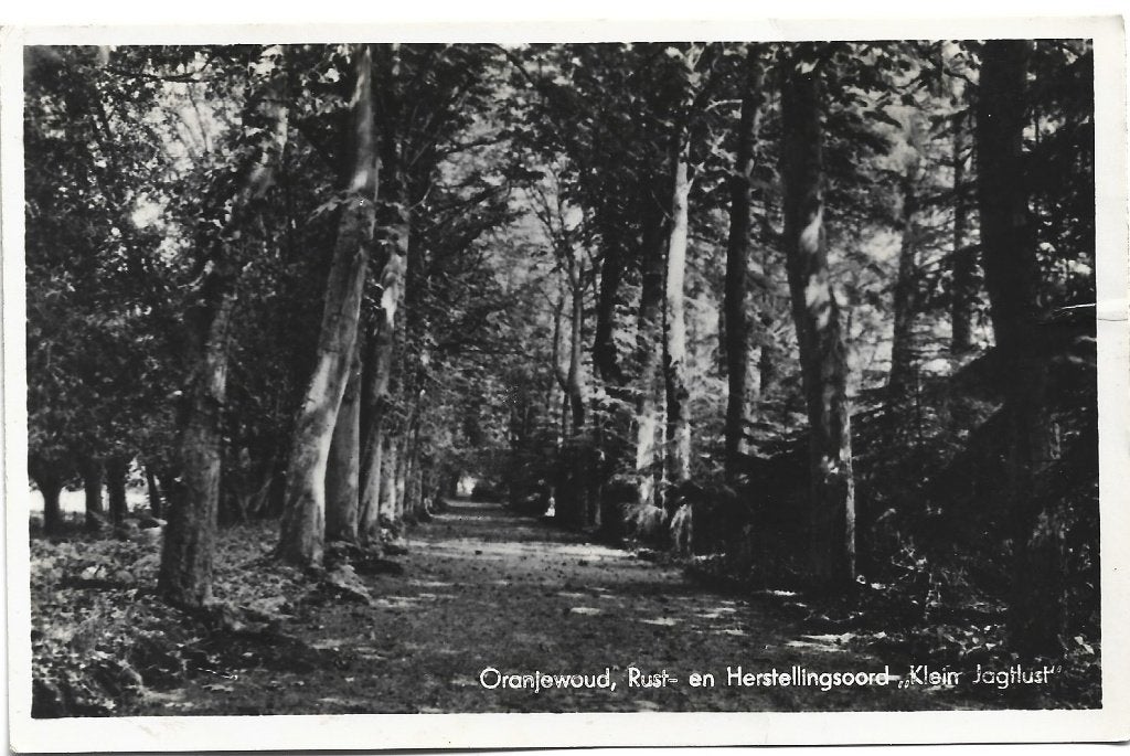 Oranjewoud;  Rust-en Herstellingsoord Klein Jagtlust, Verzenden, 1940 tot 1960, Gelopen, Friesland