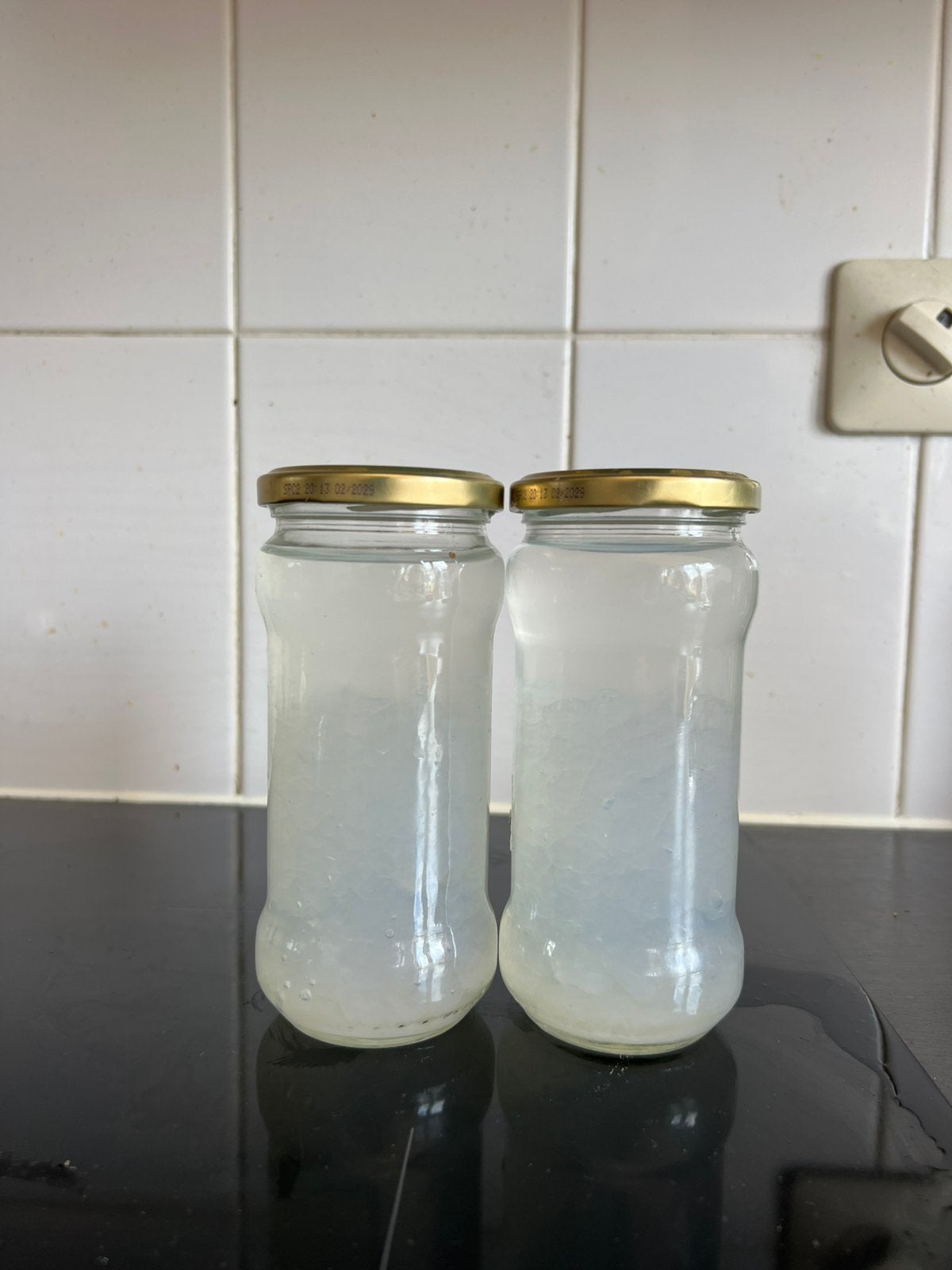 Water kefir korrels, Ophalen