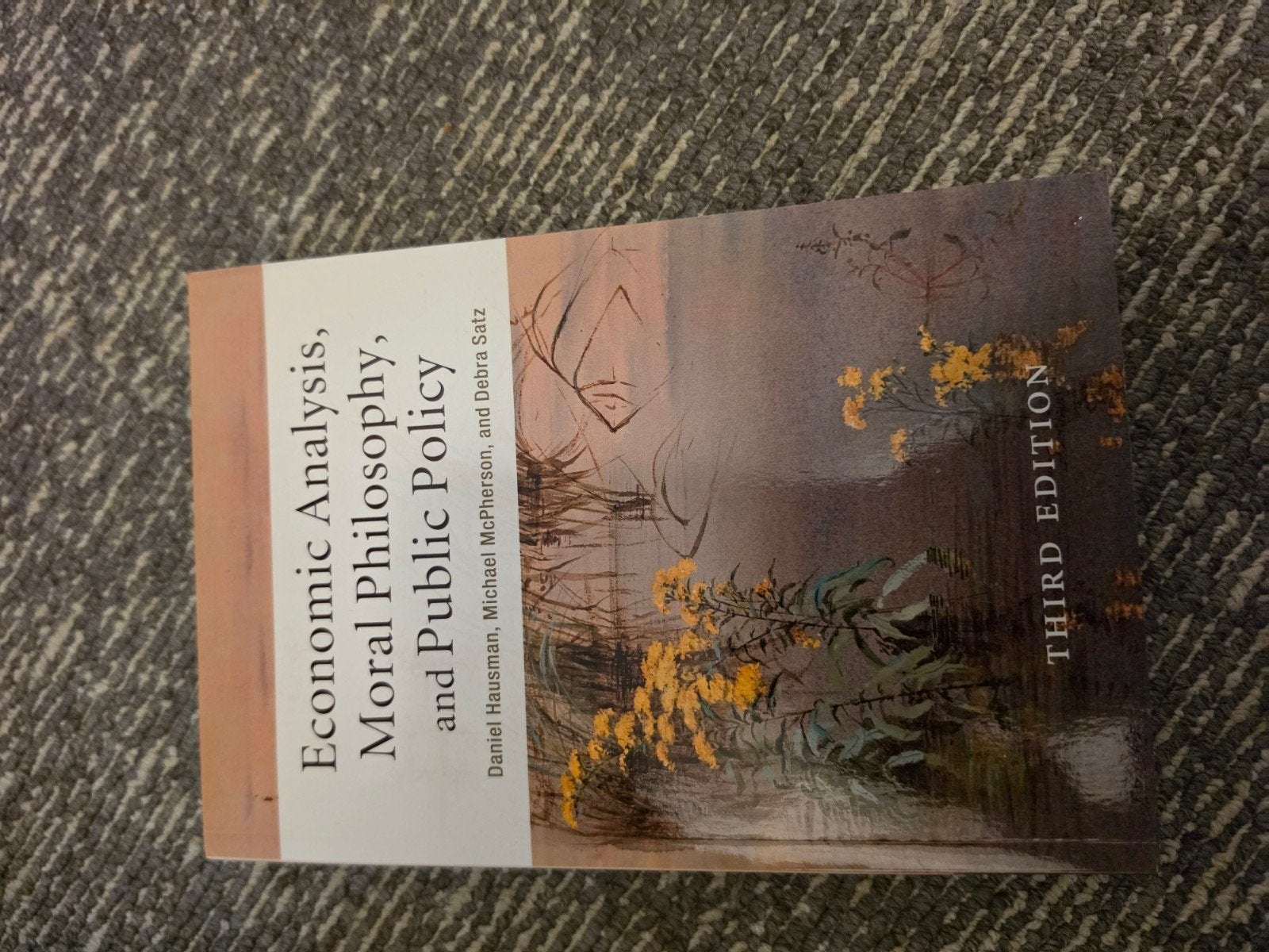 Economic Analysis, Moral Philosophy, and Public Policy, Ophalen of Verzenden, Gamma, Daniel Hausman, Michael McPherson, Debra Satz