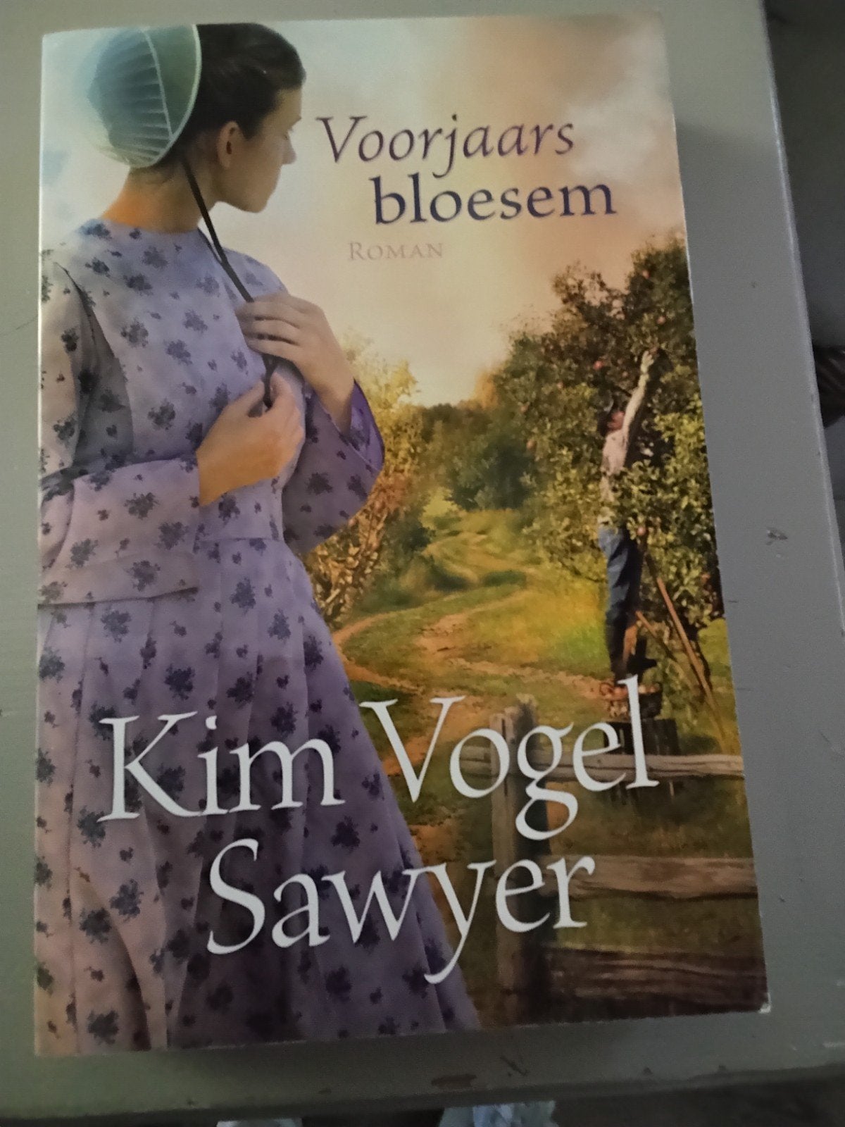 Kim Vogel Sawyer - Voorjaarsbloesem, Ophalen of Verzenden, Zo goed als nieuw, Kim Vogel Sawyer