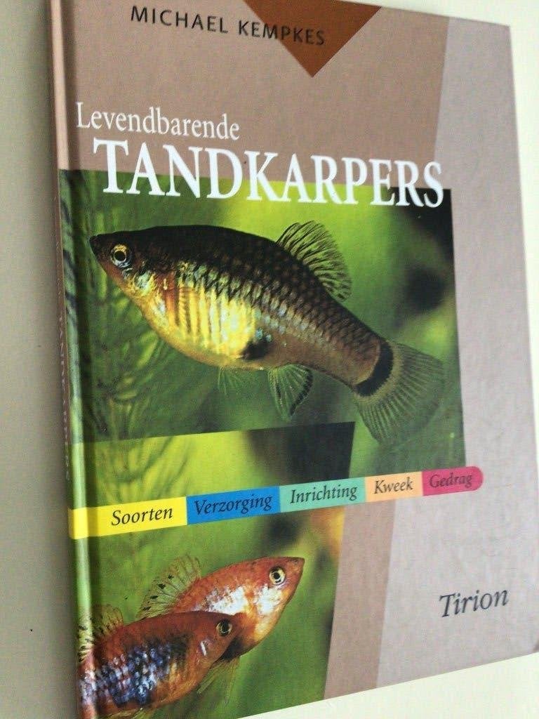 Levendbarende tandkarpers., Dieren en Toebehoren, Vissen | Aquariumvissen, Vis, Zoetwatervis
