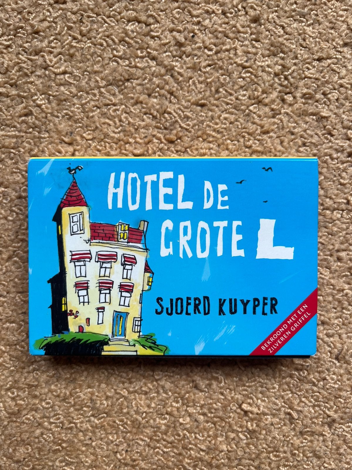 Hotel De Grote L - Dwarsligger Sjoerd Kuyper 2016, Ophalen, Gelezen