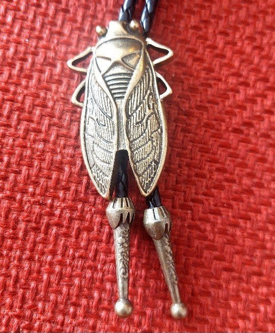 Bolo Tie met Cicade Hanger - Vintage Stijl, Overige materialen, Zwart, Ophalen of Verzenden, Verstelbaar