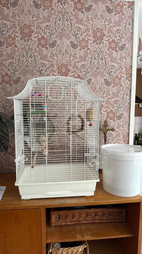 Vogelkooi - 5 Speeltjes - Schoon, Dieren en Toebehoren, Ophalen, Gebruikt, Metaal, Vogelkooi