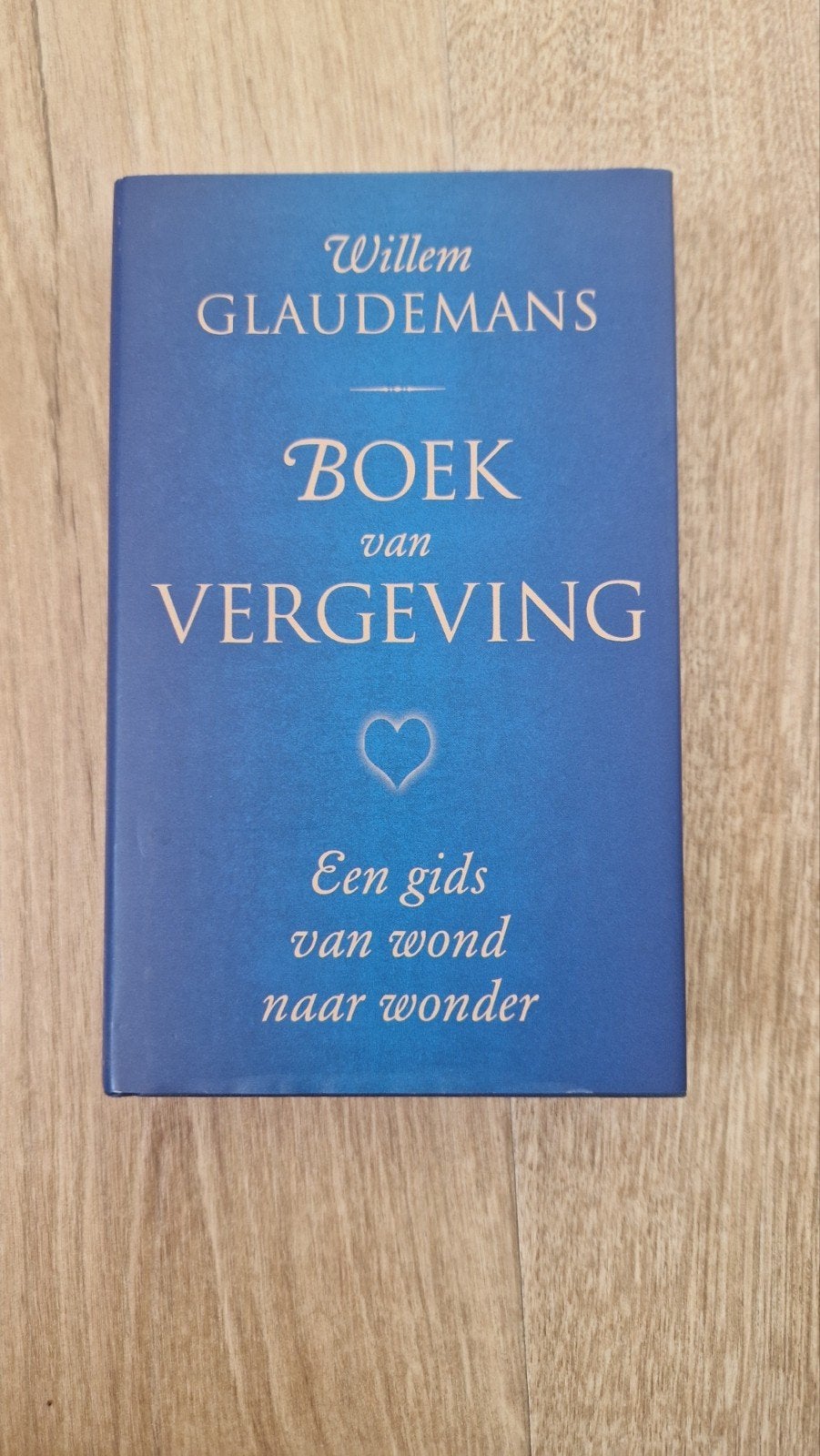 Willem Glaudemans - Boek van vergeving, Boeken, Ophalen of Verzenden, Zo goed als nieuw, Willem Glaudemans