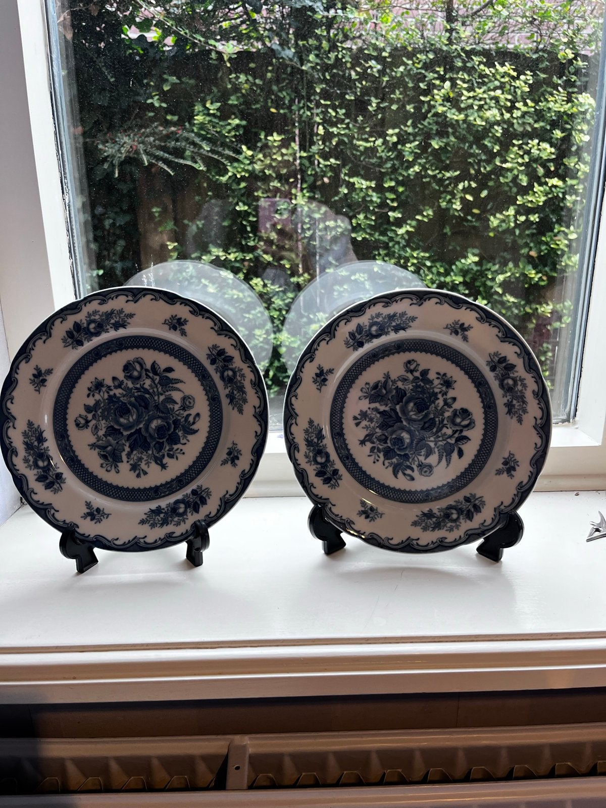 Set van 2 Blue Rose Fine China decoratieve borden, Antiek en Kunst, Ophalen of Verzenden