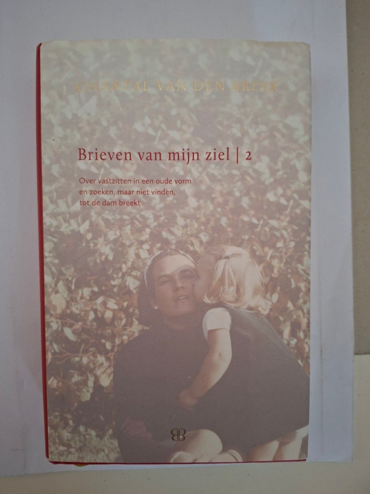Chantal van den Brink - 2 brieven van mijn ziel, Verzenden, Zo goed als nieuw, Chantal van den Brink