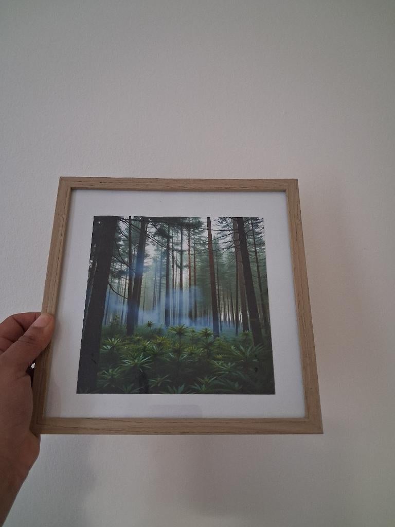 Kunstzinnig foto in foto lijst, Huis en Inrichting, Woonaccessoires | Lijsten, Ophalen, Minder dan 50 cm, Nieuw, Minder dan 50 cm