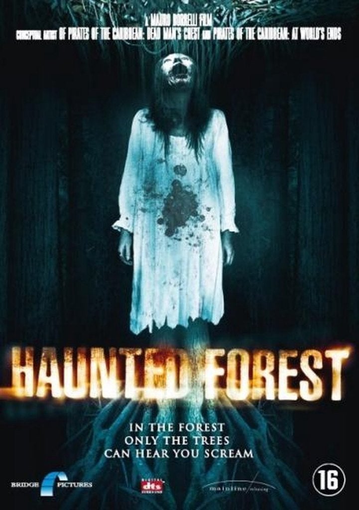 Haunted Forest DVD, Vanaf 16 jaar, Verzenden, Zo goed als nieuw, Overige genres