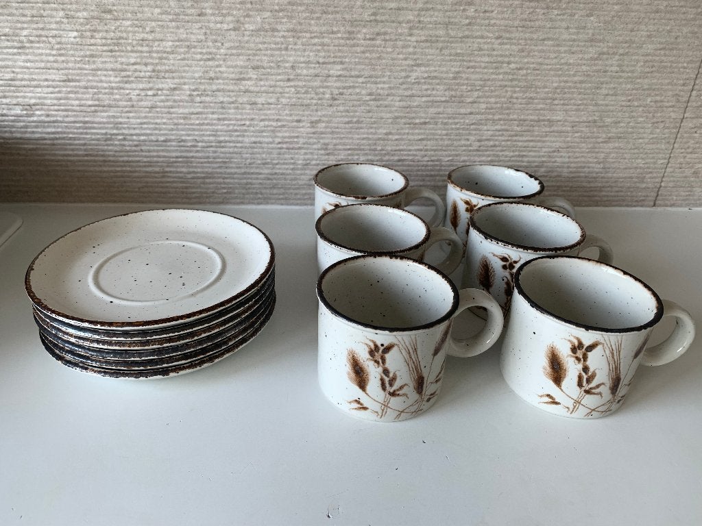 6 kop en schotels Wedgwood Midwinter Wild Oats, Ophalen, Overige typen, Zo goed als nieuw, Wedgwood