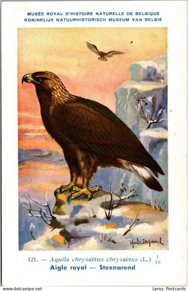 Steenarend / Golden Eagle – Nº 121 – (KBIN / IRSNB), Verzenden, 1940 tot 1960, Ongelopen, Vogel