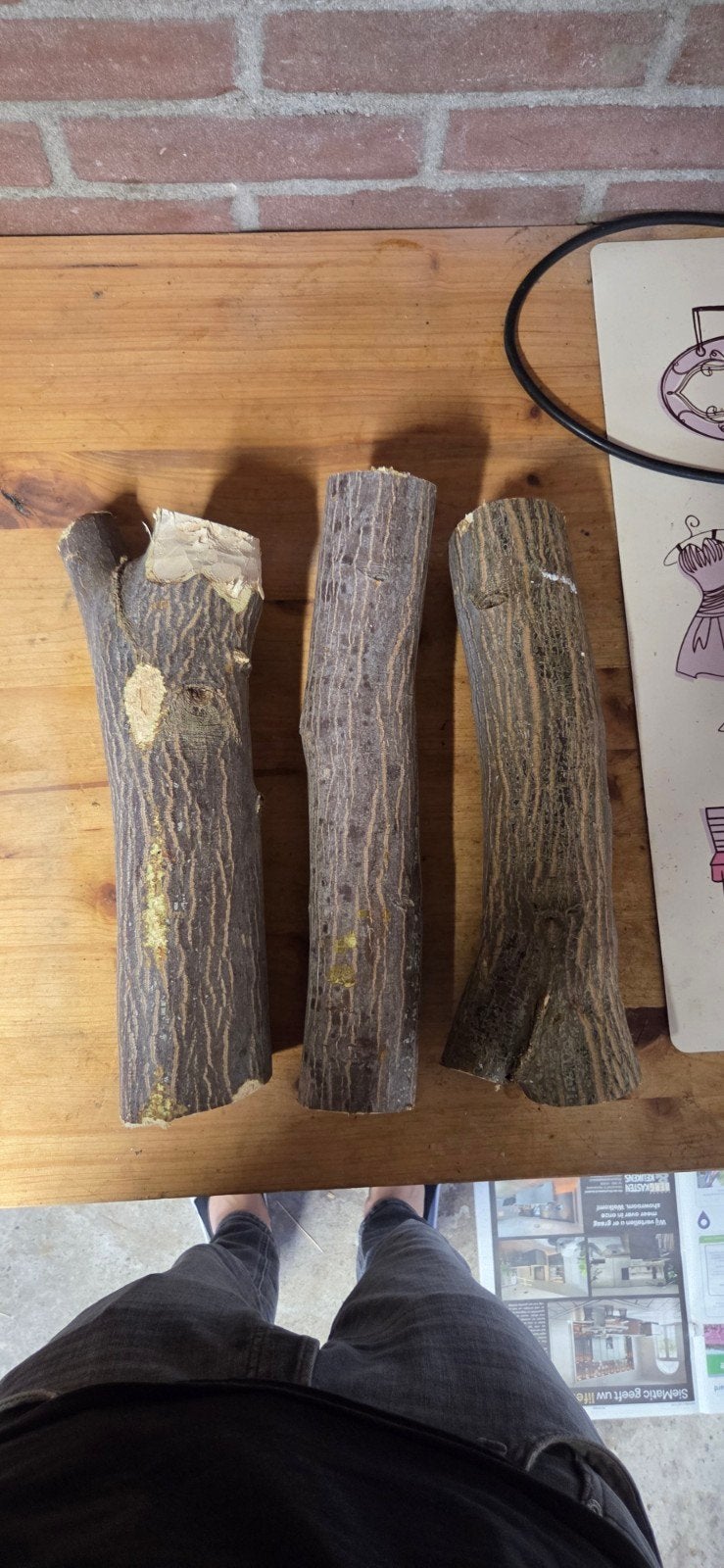 Japans Esdoorn hout voor draaibank of houtbewerking, Ophalen of Verzenden, Gebruikt, Overige typen