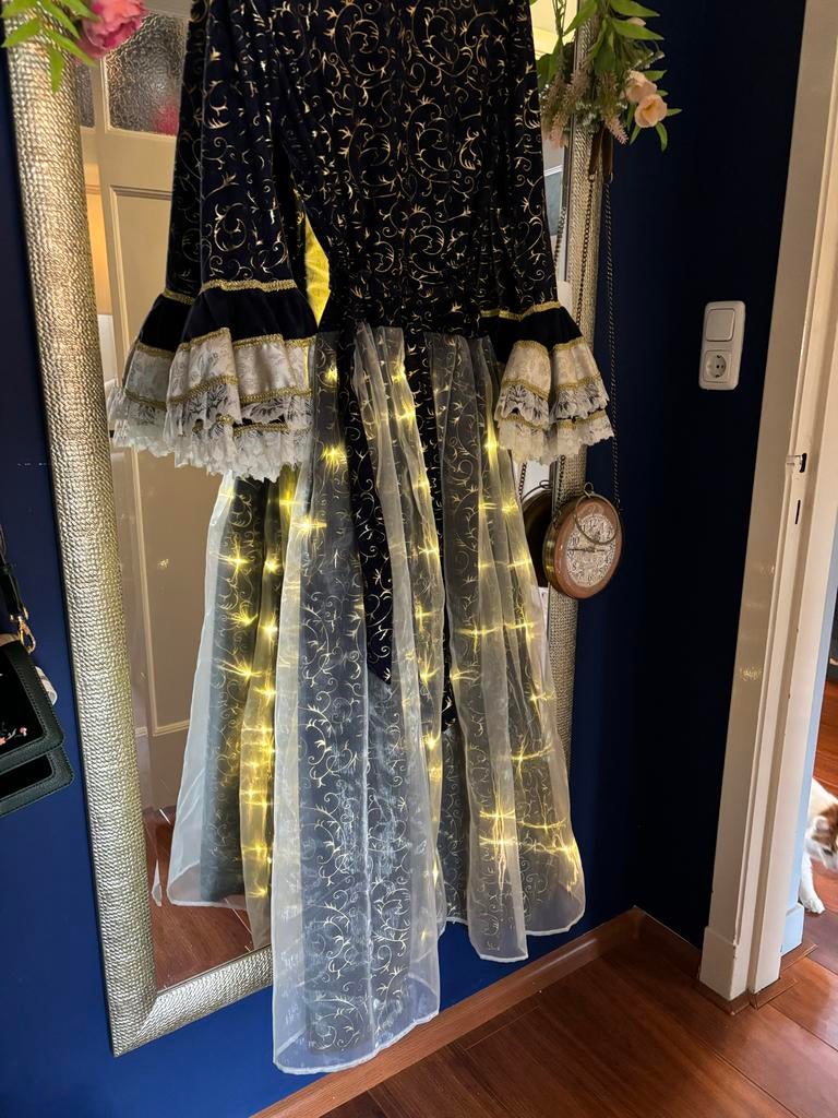 Carnavalsjurk Edel Dame met Licht, Kleding | Dames, Carnavalskleding en Feestkleding, Maat 38/40 (M), Carnaval, Ophalen of Verzenden