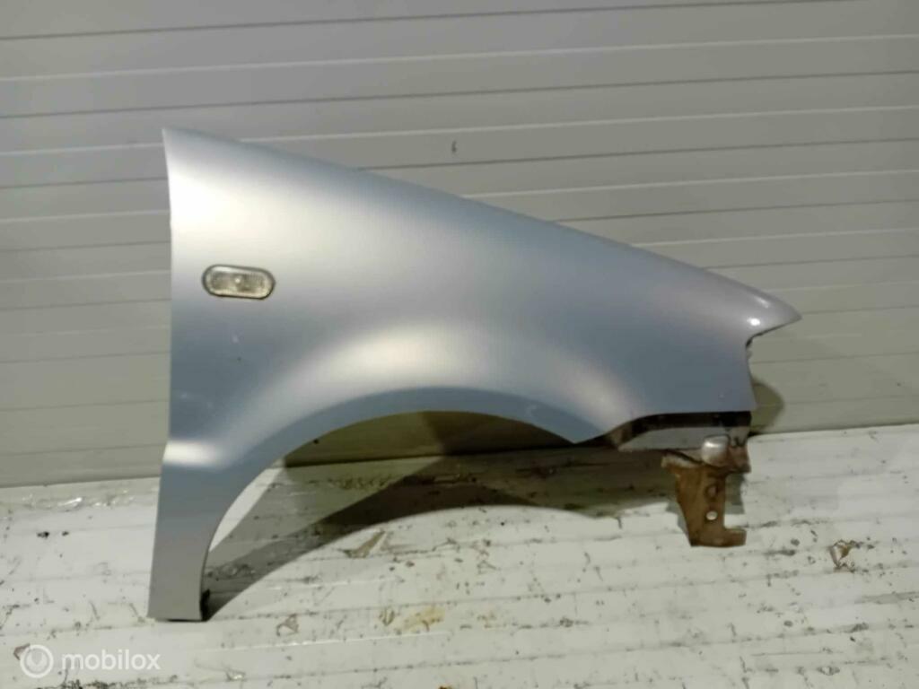 Spatscherm Volkswagen Polo, Ophalen of Verzenden, Gebruikt