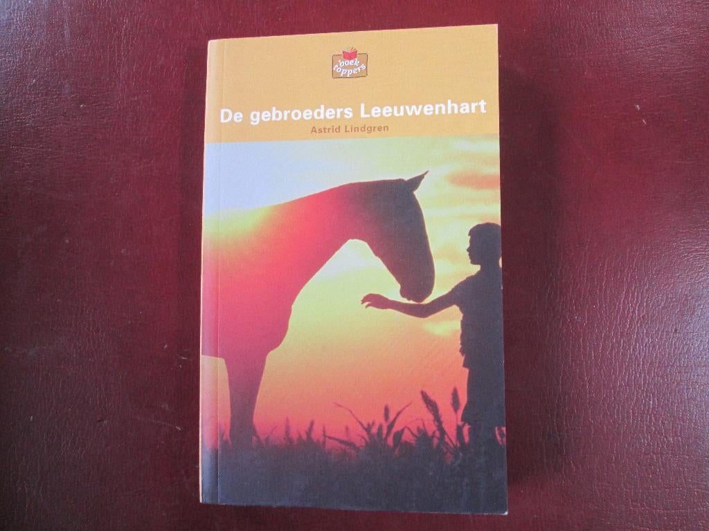 Astrid Lindgren, De gebroeders Leeuwenhart, Ophalen of Verzenden, Zo goed als nieuw, Fictie algemeen