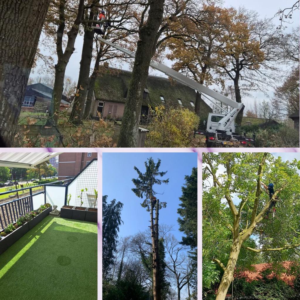 Tuin en boom onderhoud, Tuinonderhoud of Snoeiwerk