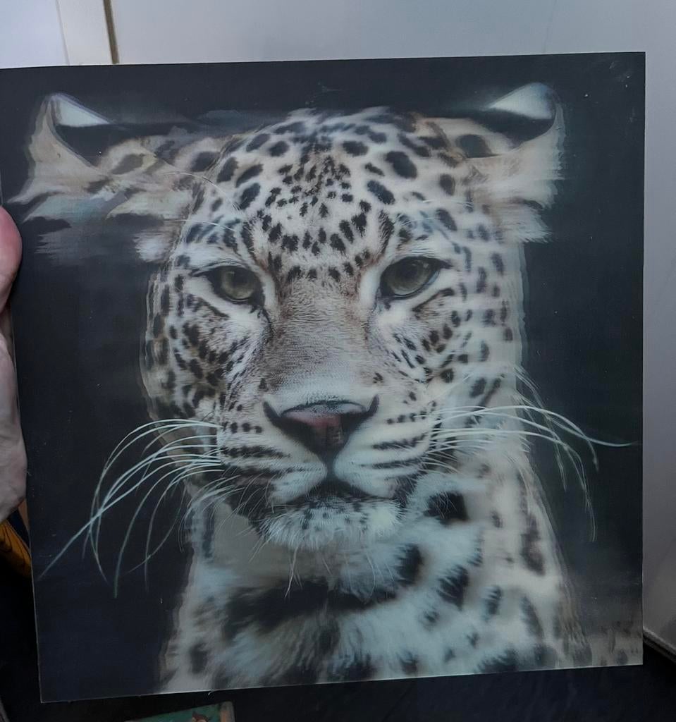 Schilderij, Huis en Inrichting, Woonaccessoires | Schilderijen, Tekeningen en Foto's, Ophalen, Zo goed als nieuw, Schilderij, Minder dan 50 cm