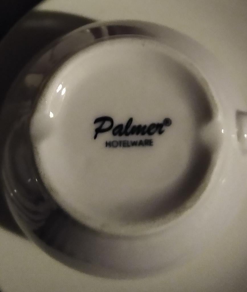 Palmer Hotelware Kop en Schotel, Gebruikt, Ophalen of Verzenden, Overige stijlen, Kop(pen) en/of Schotel(s)