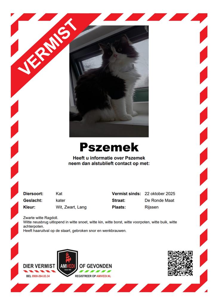 Kat vermist!, Dieren en Toebehoren, Katten en Kittens | Overige Katten, Kater