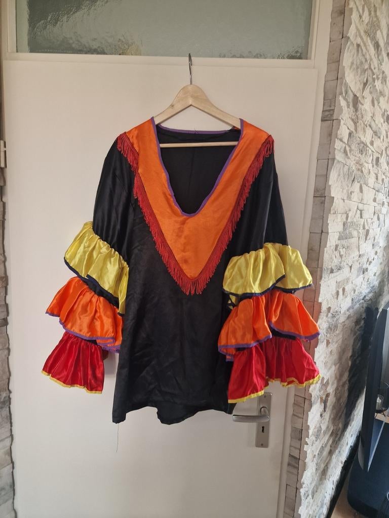 Carnavalskleding, Kleding | Dames, Ophalen of Verzenden, Zo goed als nieuw, Carnaval