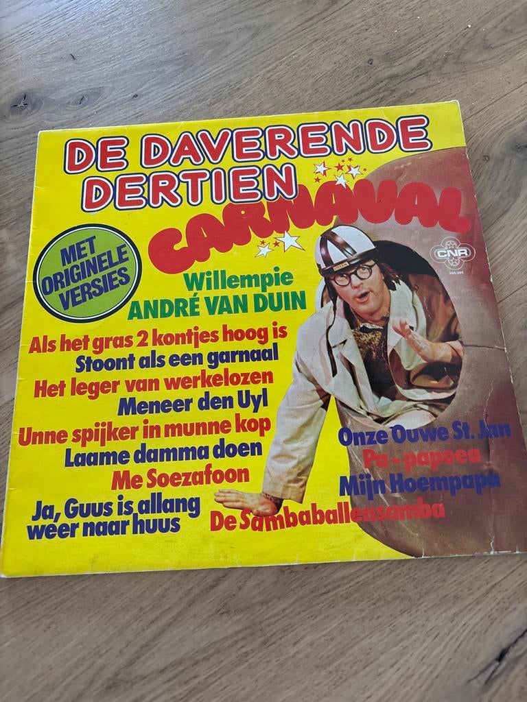Vinyl Plaat - De Daverende Dertien Carnaval, Ophalen of Verzenden, Gebruikt, 12 inch, Overige genres