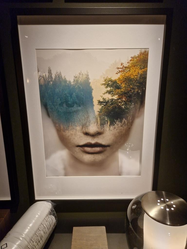 IKEA Print - Natuur en portret gezocht, Ophalen, Zo goed als nieuw, Dier of Natuur