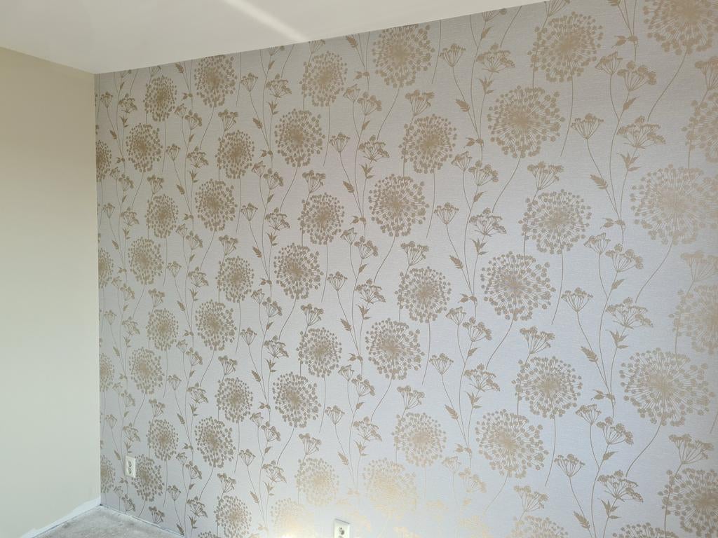 Foto 2 van Renovlies Top Kwaliteit Behangers
