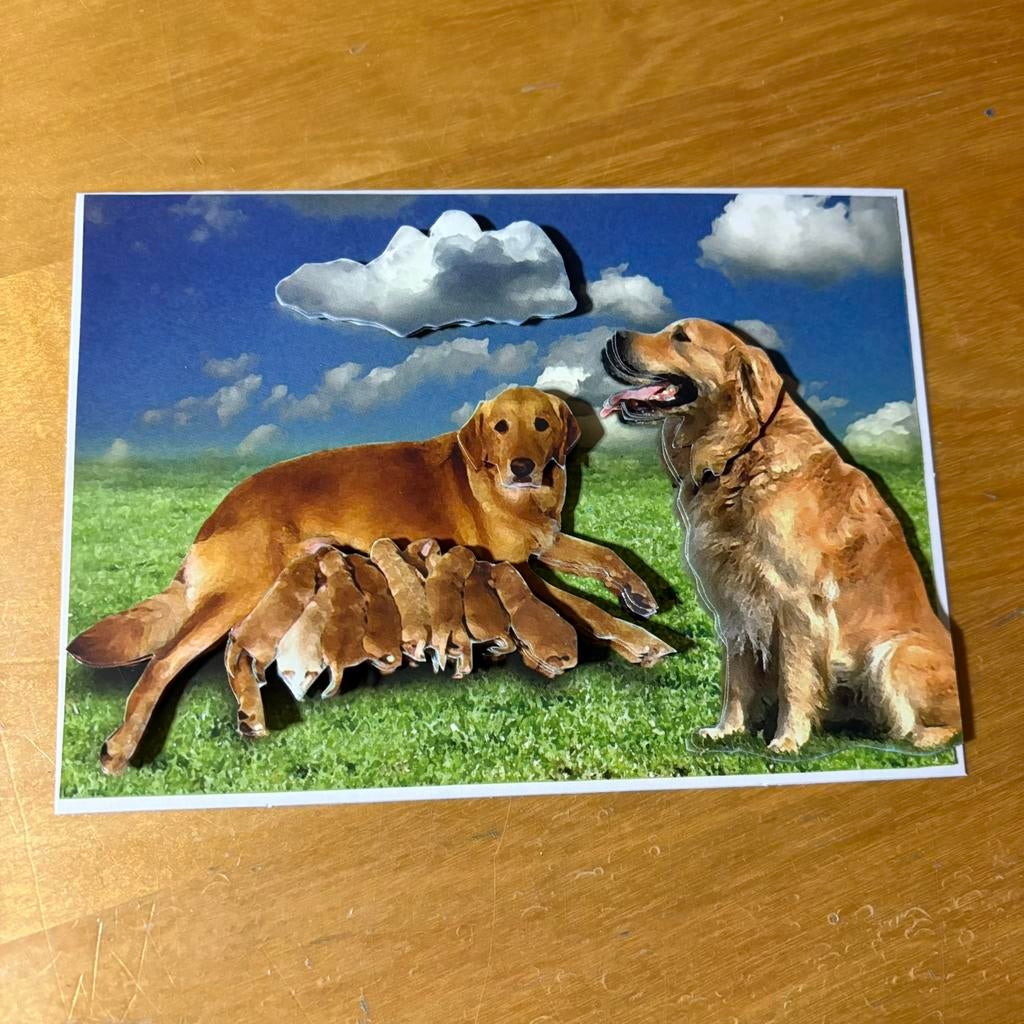 Kaart 3d dieren honden 2, Ophalen of Verzenden, Nieuw, Overige thema's