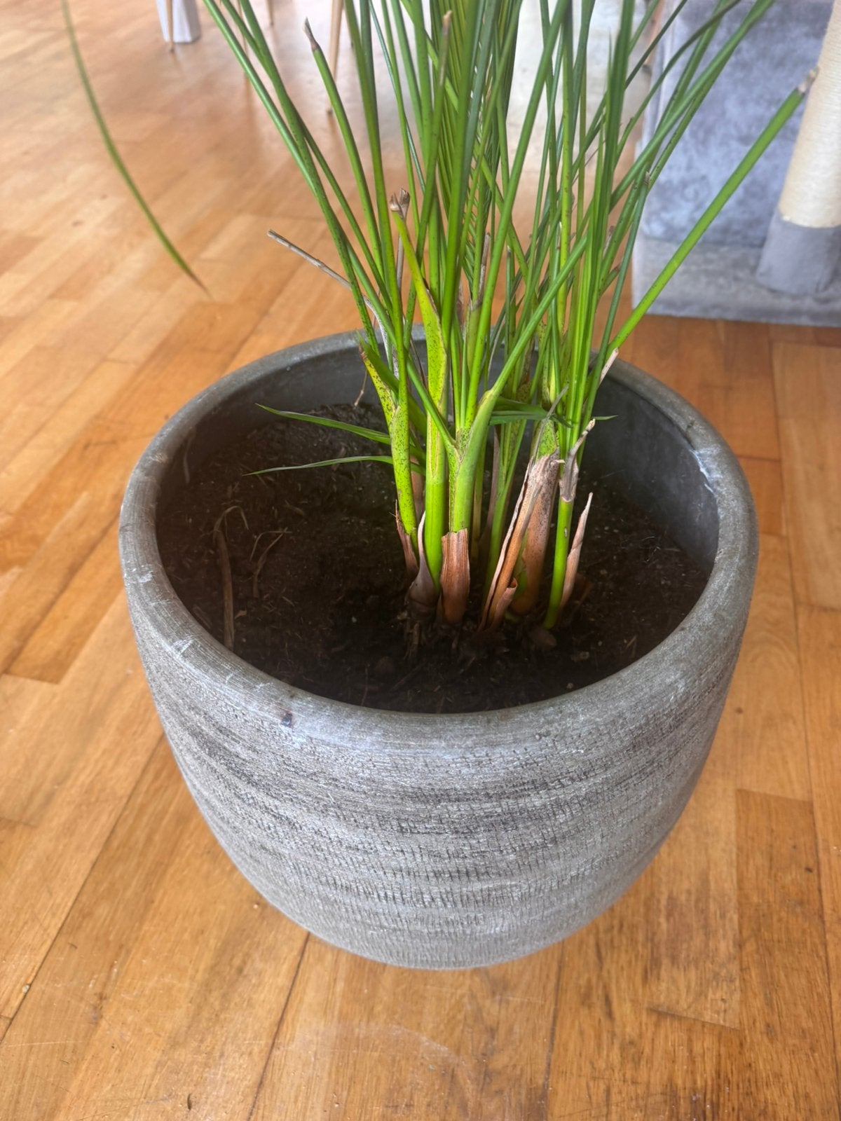 Antracietkleur stenen bloempot 37 cm doorsnede, Steen, Rond, Zo goed als nieuw, Minder dan 40 cm