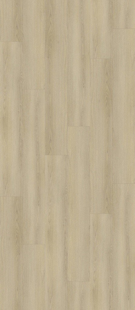 PVC Vloer Dryback Plank 06, Modern, Houtlook, Plank, Nieuw, Ophalen of Verzenden, Beige