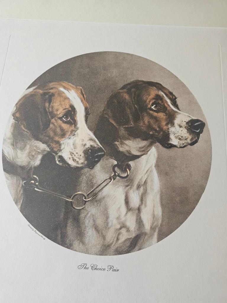 Schilderij, Ophalen of Verzenden