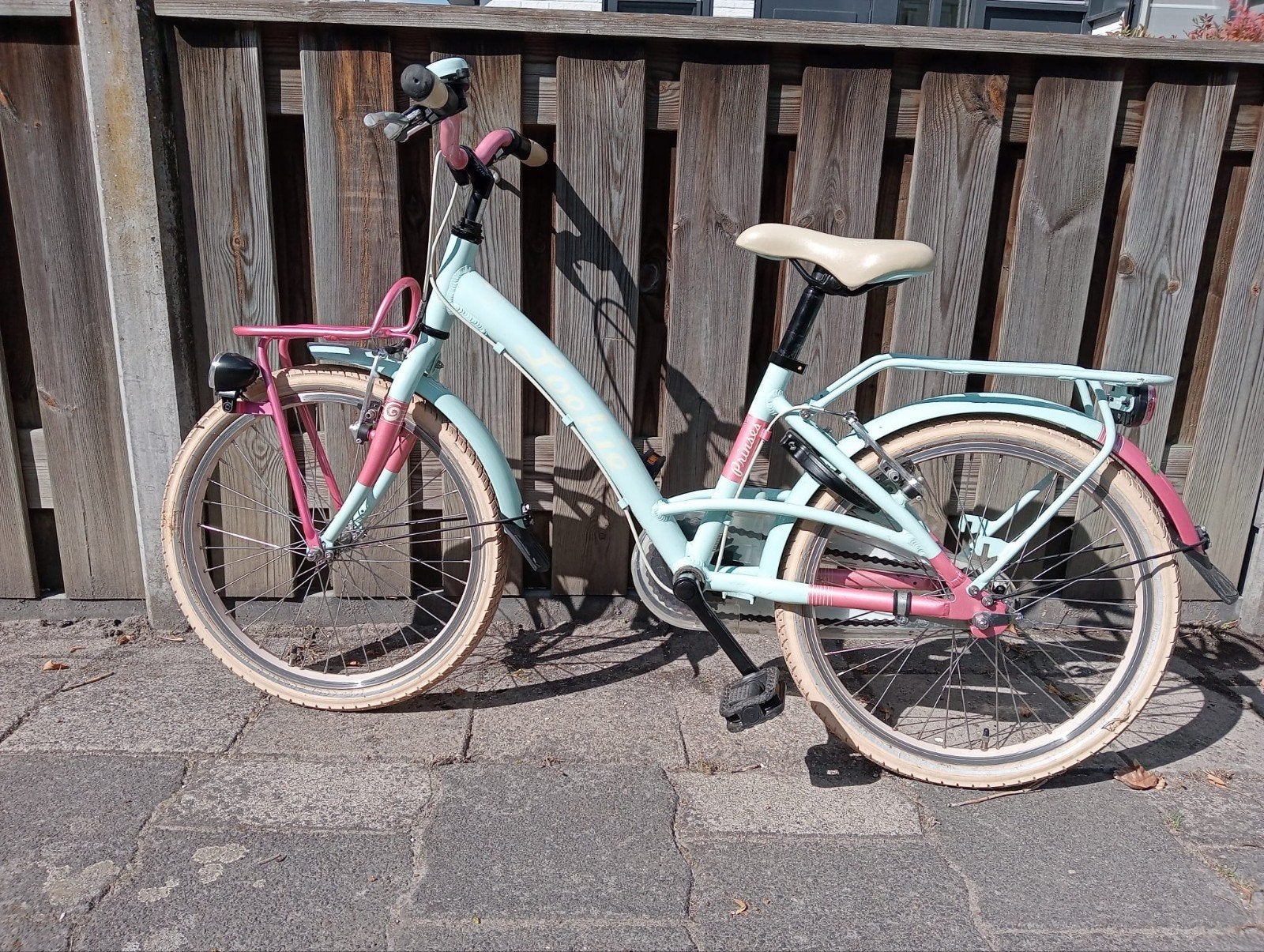 Kinderfiets 20 inch Loekie Princes mint groen roze, Ophalen, Terugtraprem, Gebruikt, Royal Kids