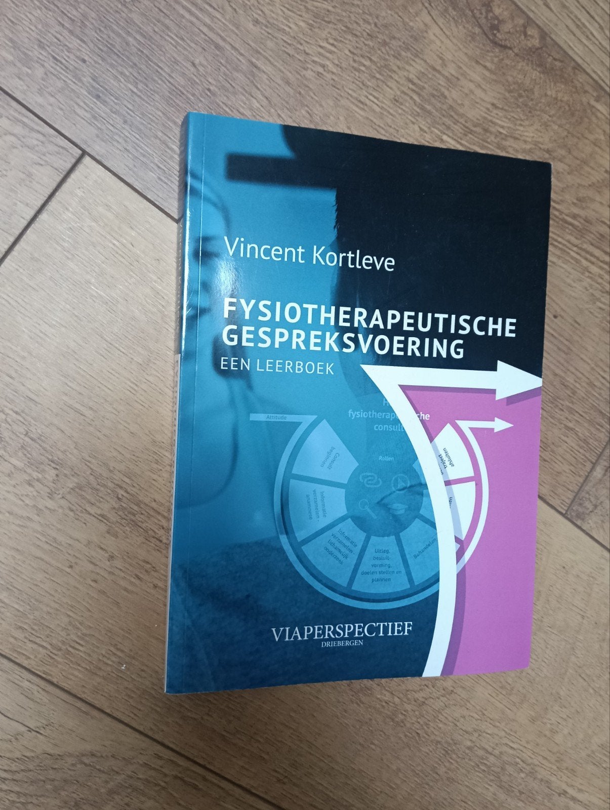 Vincent Kortleve - Fysiotherapeutische gespreksvoering, Vincent Kortleve, Sociale wetenschap, Ophalen of Verzenden, Zo goed als nieuw