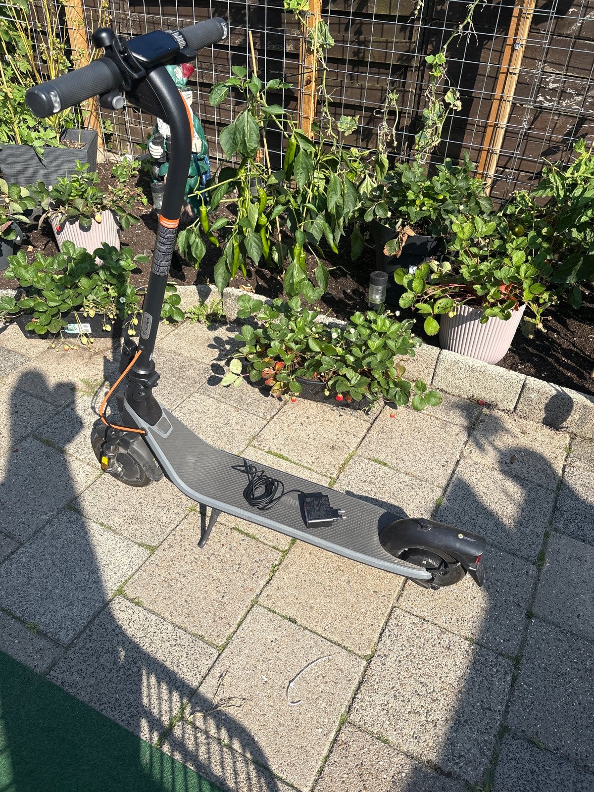 Ninebot E2 Plus II  (E-scooter) + Oplader- MOET WEG, Ophalen, Zo goed als nieuw, Elektrische step (E-scooter)