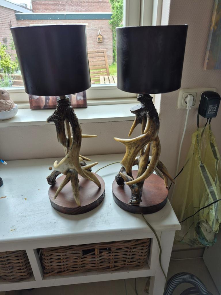 2 mooie lampen gewei, Ophalen of Verzenden, Zo goed als nieuw