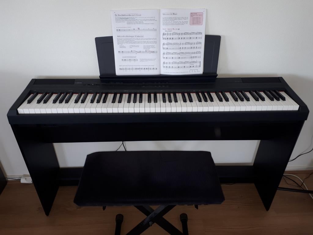 Pianoles aan huis in Alkmaar en omgeving, Komt aan huis