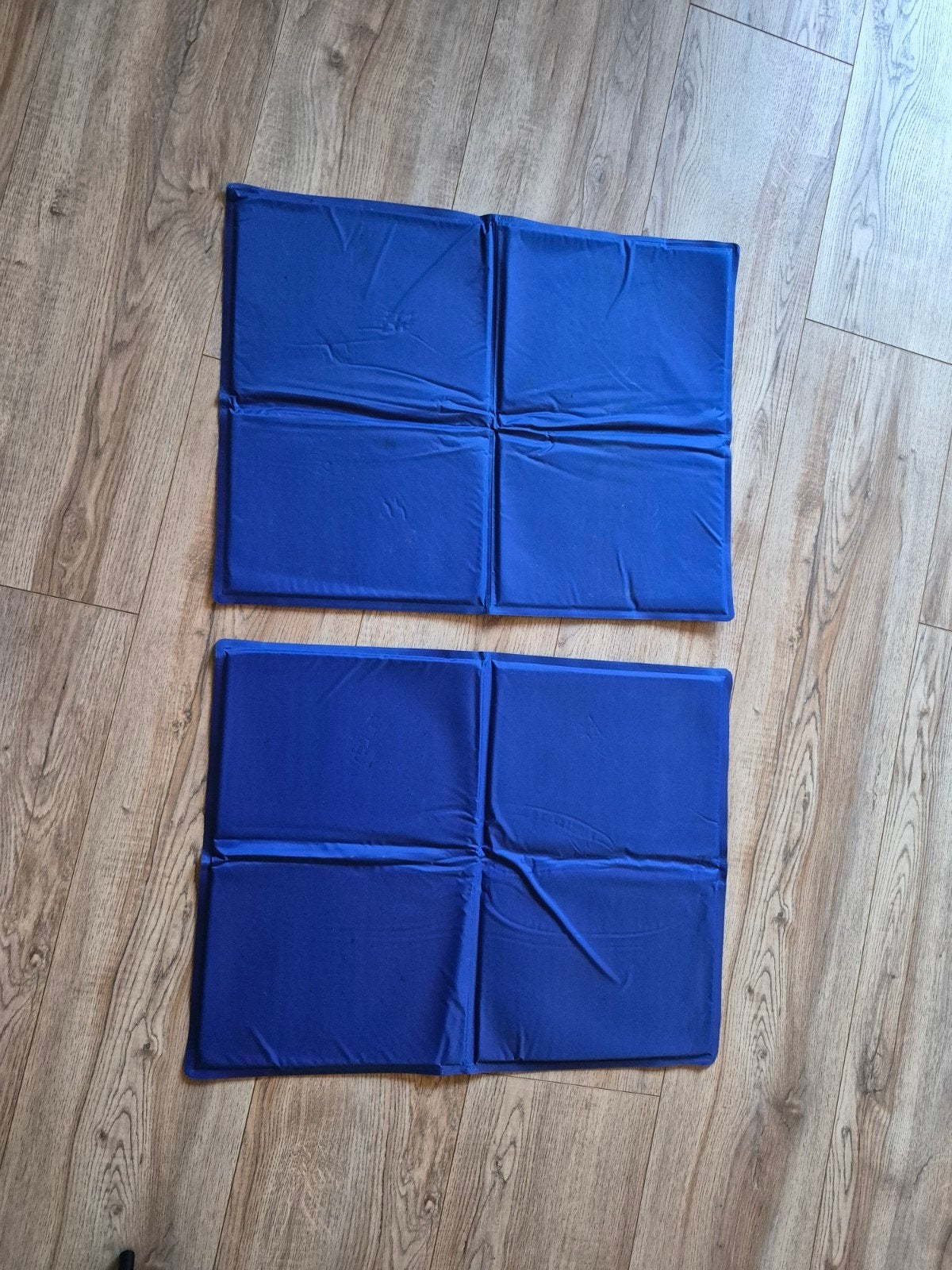 Koelmatten voor hond, 2 stuks, 50x65cm, Ophalen of Verzenden, Zo goed als nieuw