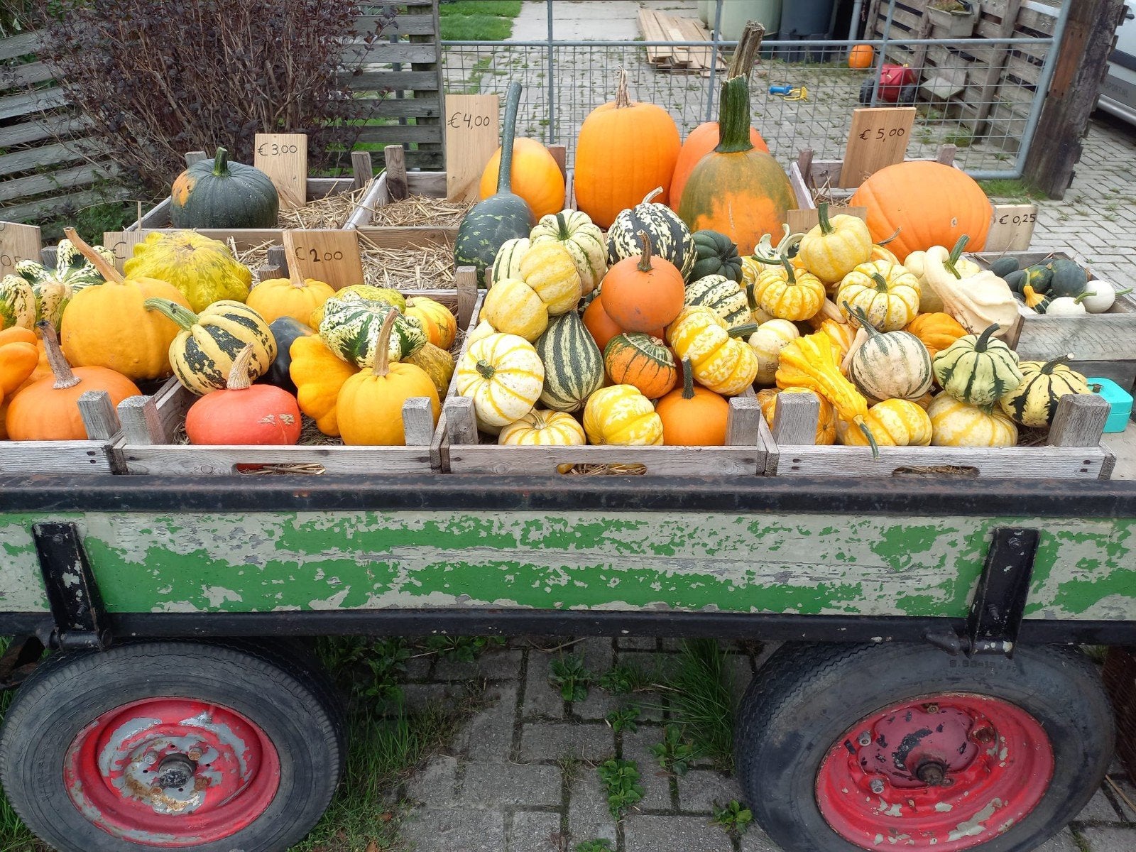 pompoenen kalebassen en pruimenjam, Ophalen, Nieuw