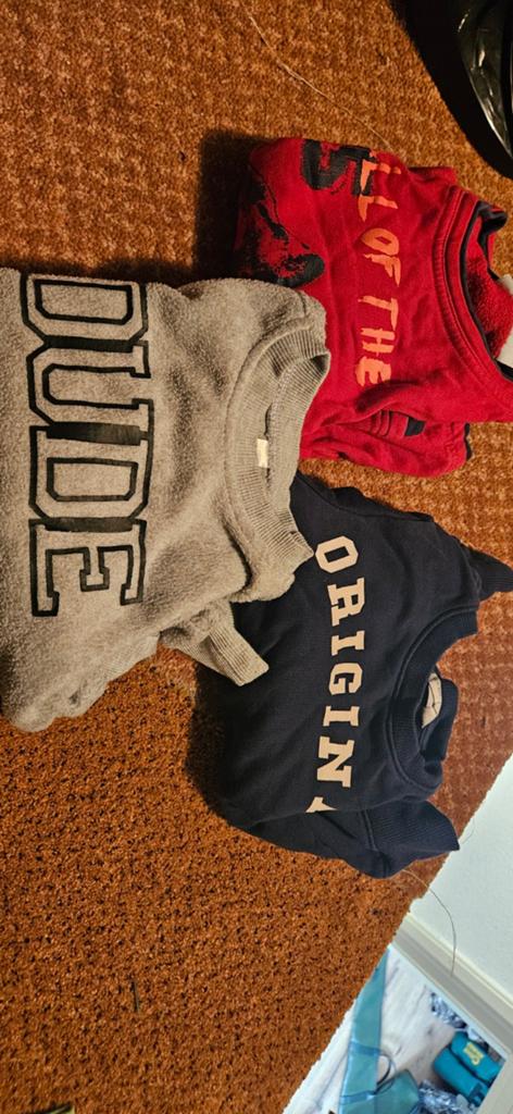 sweater, Ophalen of Verzenden, Maat 86