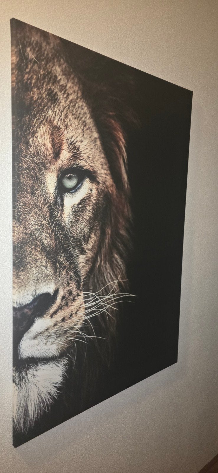Leeuwenportret Canvas Schilderij, Antiek en Kunst, Ophalen, Op houten frame, Dieren, Print