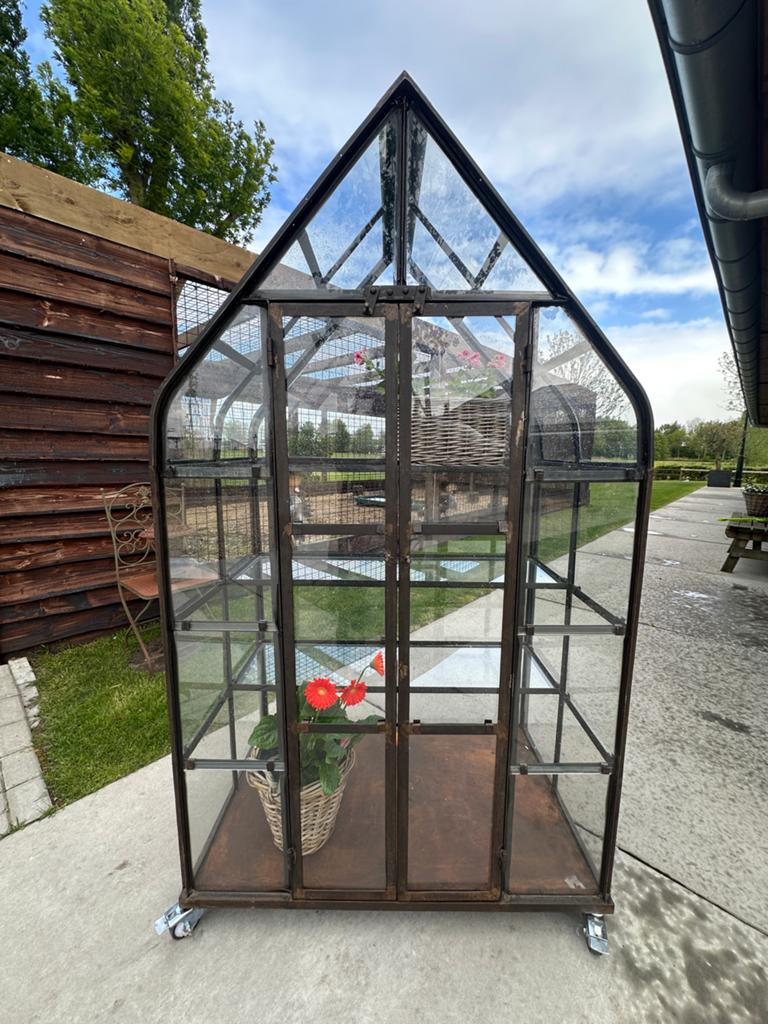 Vintage Tuinkas / Kruidenkas / Kweekkas 108x70x190, Glas, Ophalen, Staal, Kweekkas