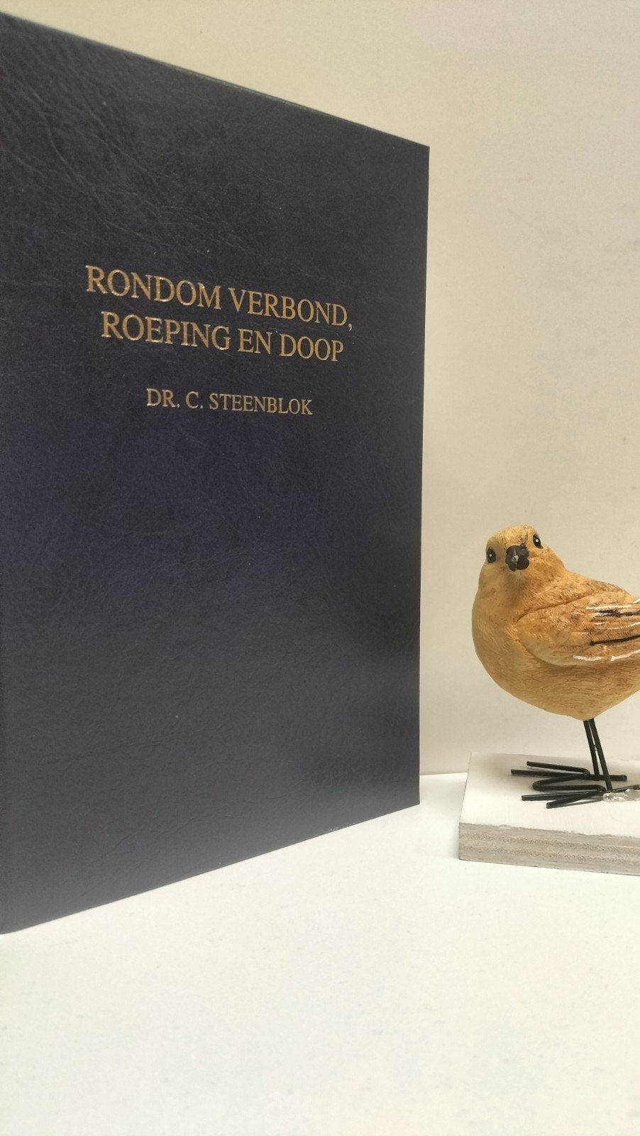 Steenblok, Dr. C.; Rondom verbond, roeping en doop, Boeken, Ophalen of Verzenden, Gelezen, Christendom | Protestants