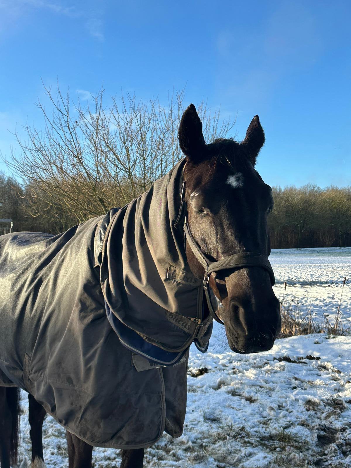 Bucas Smartex Turnout  205 met garantie!!!, 250 g, Ophalen of Verzenden, Zo goed als nieuw, Linersysteem