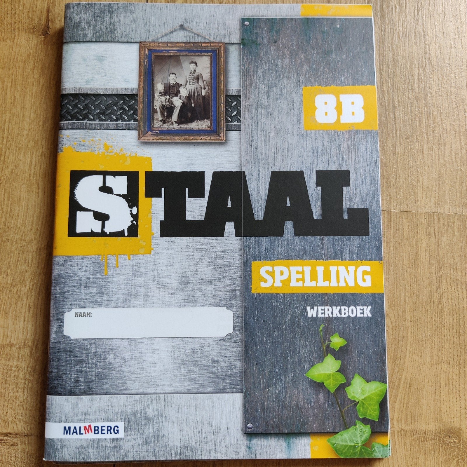 Staal Spelling Werkboek 8B Malmberg, Ophalen of Verzenden, Zo goed als nieuw, Overige niveaus, Nederlands