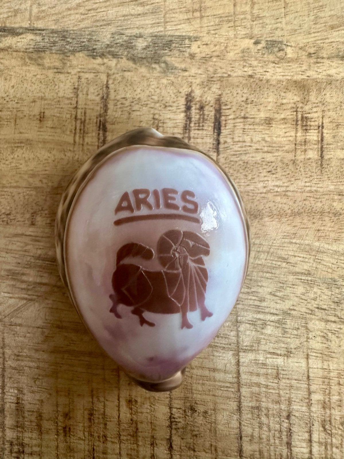 Decoratieve schelp met sterrenbeeld Ram (Aries), Ophalen, Zo goed als nieuw