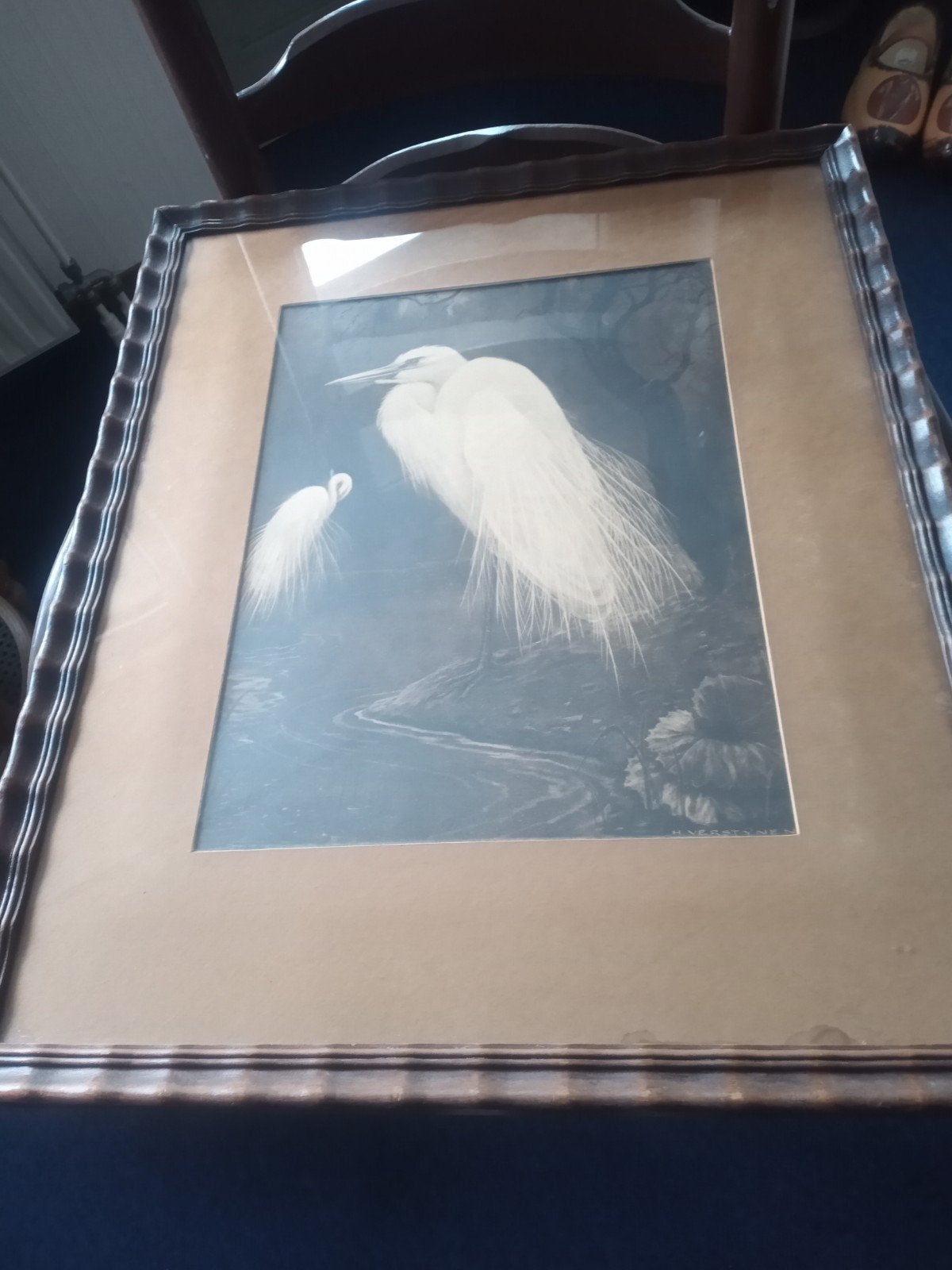 LITHO WITTE ZILVERREIGERS, Ophalen