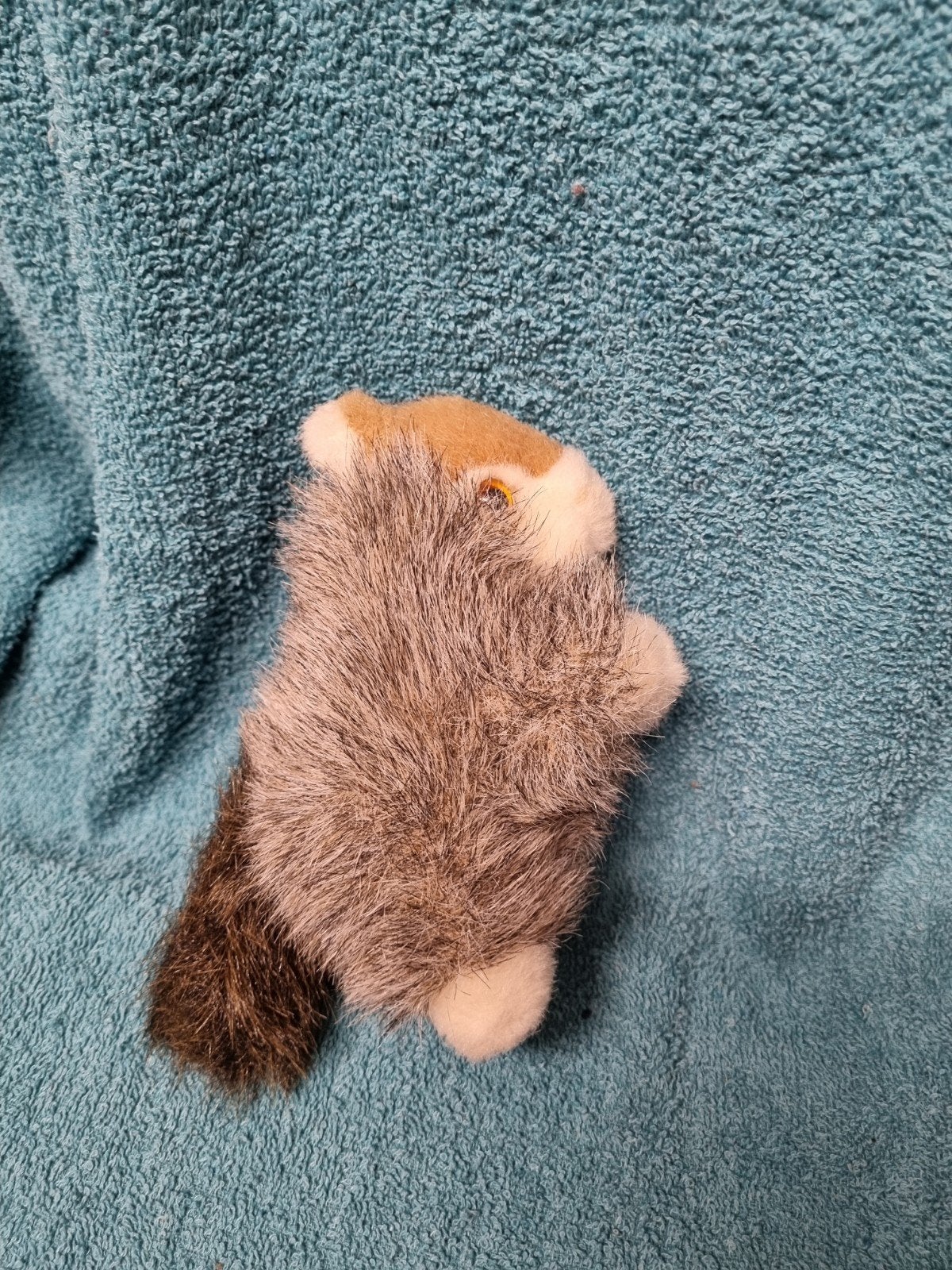 Eekhoorn knuffel nr 36, Ophalen of Verzenden, Overige typen