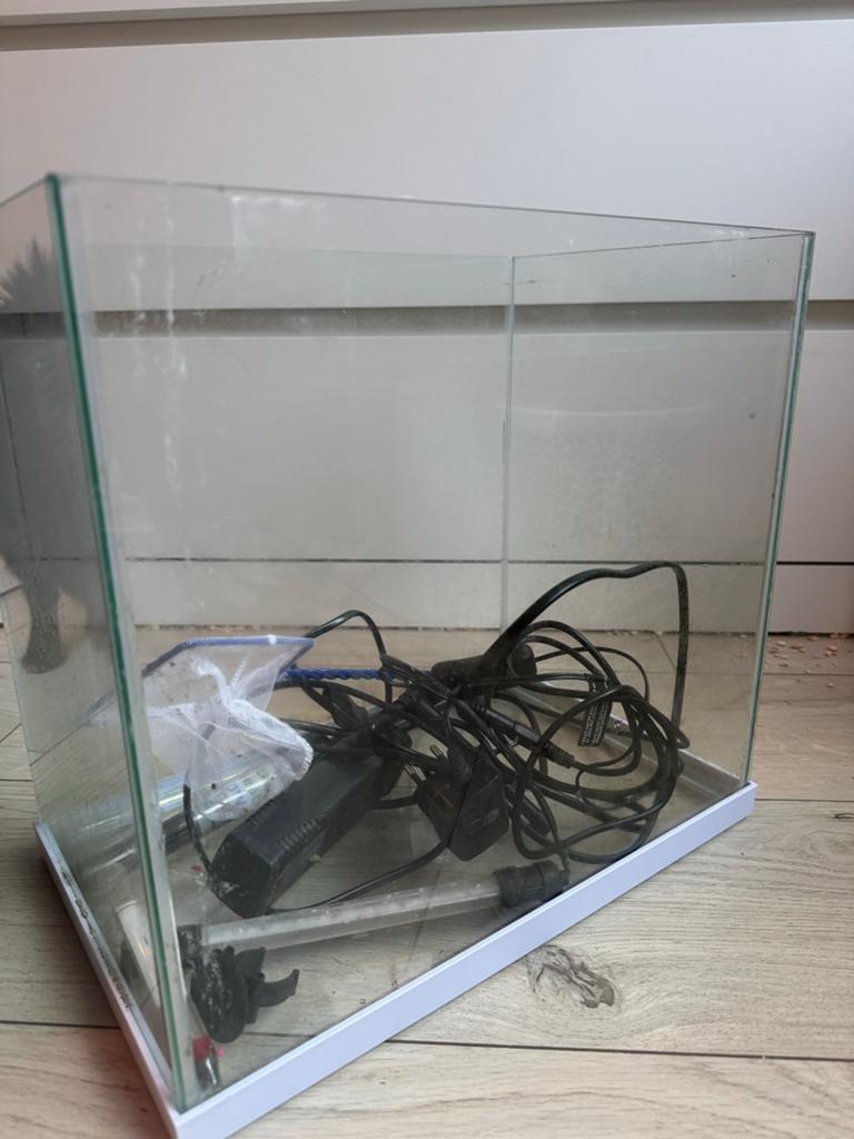 Vissen aquarium, Ophalen, Gebruikt, Gevuld zoetwateraquarium, Superfish